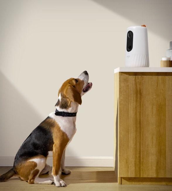 eufy-pet-camera-5.jpg