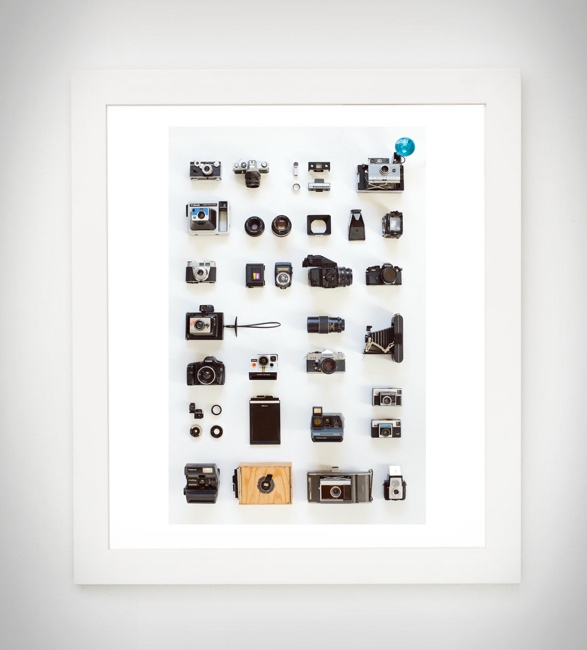 field-guide-designs-art-prints-4.jpg | Image