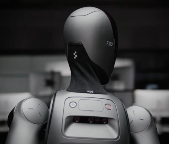 figure-02-humanoid-robot-4b.jpg