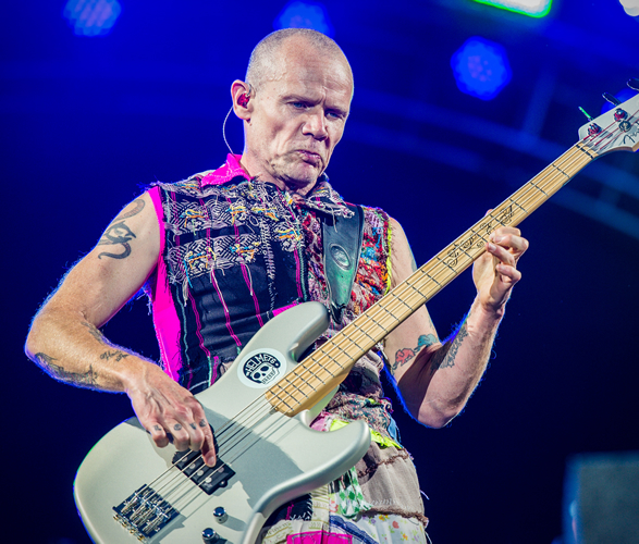 flea-acid-for-the-children-5.jpg | Image