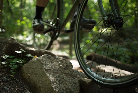 fredward-bicycle-4.jpg | Image