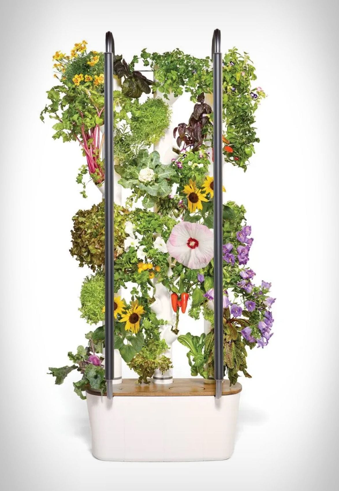 gardyn-home-4-smart-indoor-hydroponic-garden-2.jpg | Image