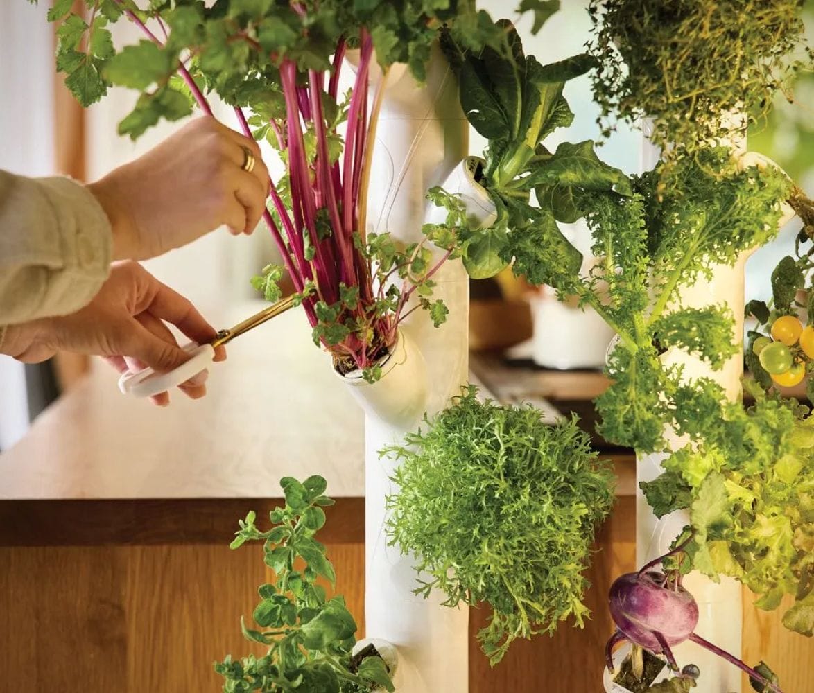 gardyn-home-4-smart-indoor-hydroponic-garden-3.jpg | Image