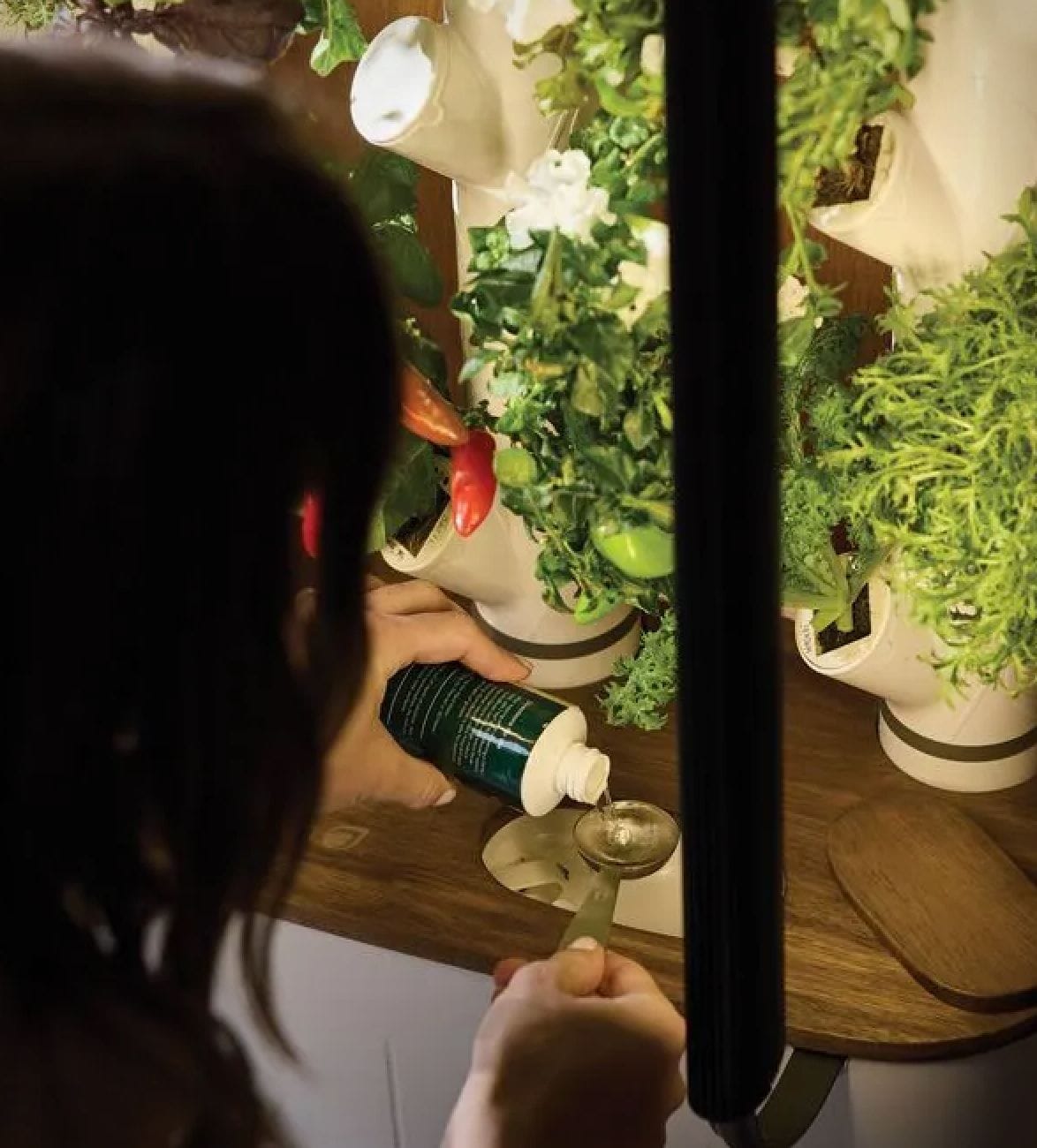 gardyn-home-4-smart-indoor-hydroponic-garden-5.jpg | Image