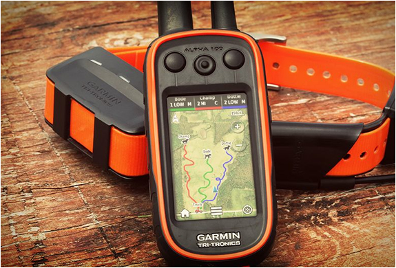 garmin-astro-4.jpg | Image