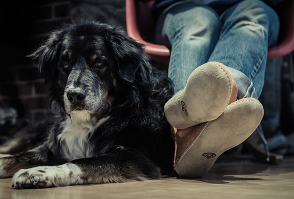 glerups-slippers-3.jpg | Image