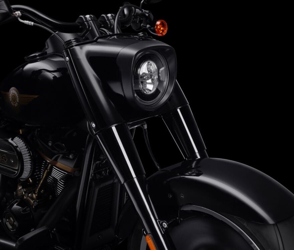 harley-davidson-fat-boy-30th-anniversary-model-6.jpg