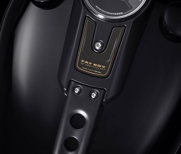 harley-davidson-fat-boy-30th-anniversary-model-7.jpg
