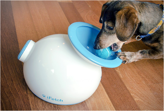 ifetch-2.jpg | Image