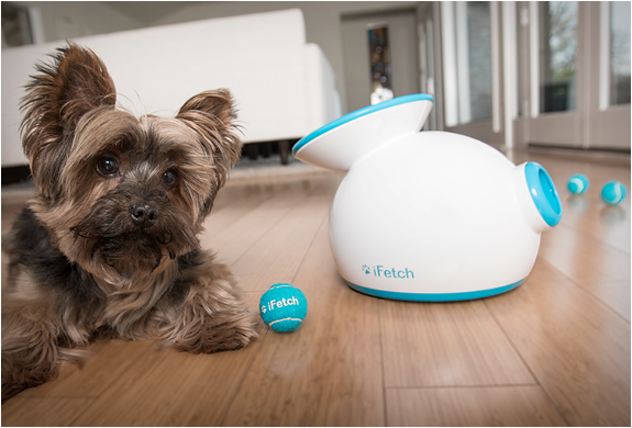 ifetch-3.jpg | Image