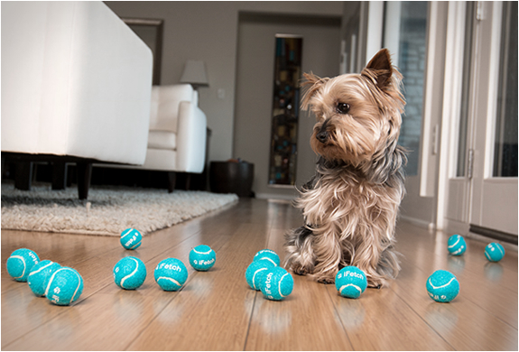 ifetch-5.jpg | Image