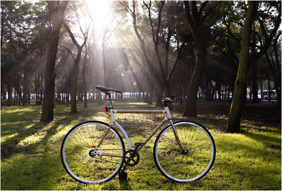 img_bamboo_cycles_4.jpg | Image