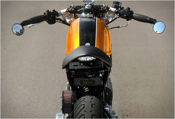 img_docs_chops_yamaha_virago_4.jpg | Image