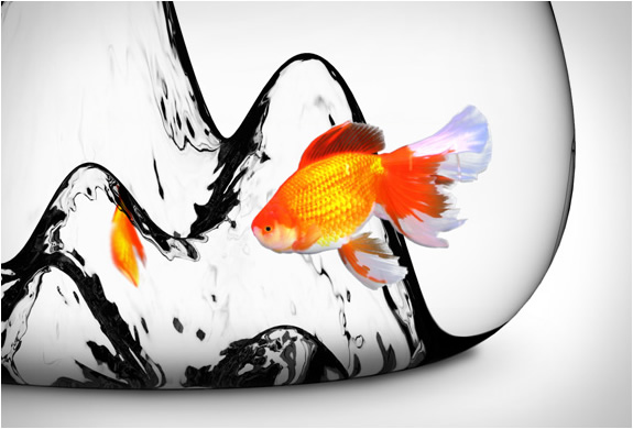 img_fishcape_fishbowl_aruliden_4.jpg | Image