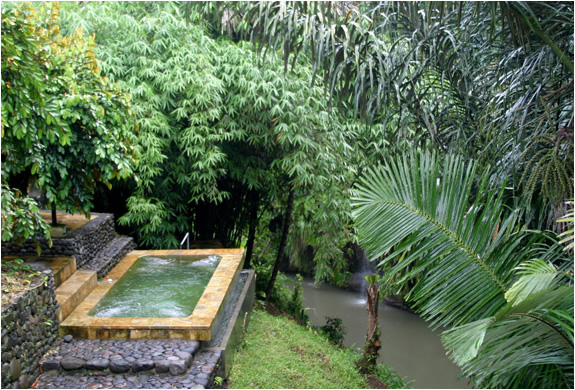 img_panchoran_retreat_bali_4.jpg | Image