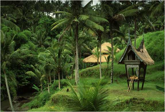 img_panchoran_retreat_bali_5.jpg | Image