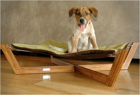 Small dog hammock clearance