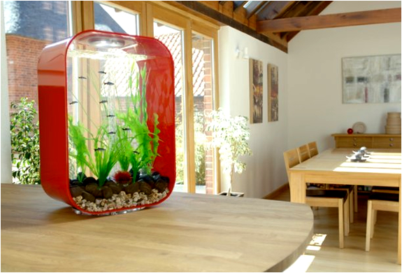 img_reef_one_biorb_aquariums_4.jpg | Image
