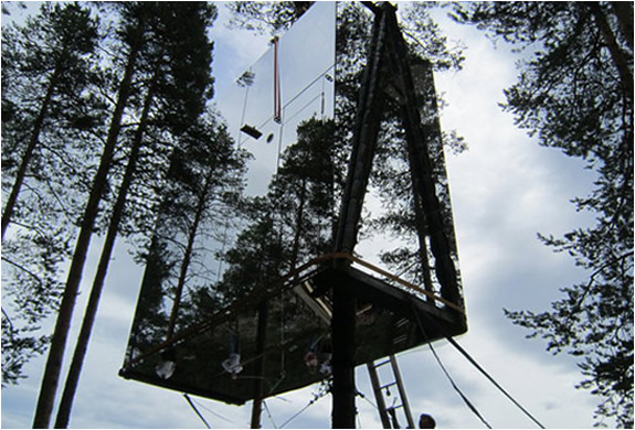 img_tree_hotel_sweden_4.jpg | Image