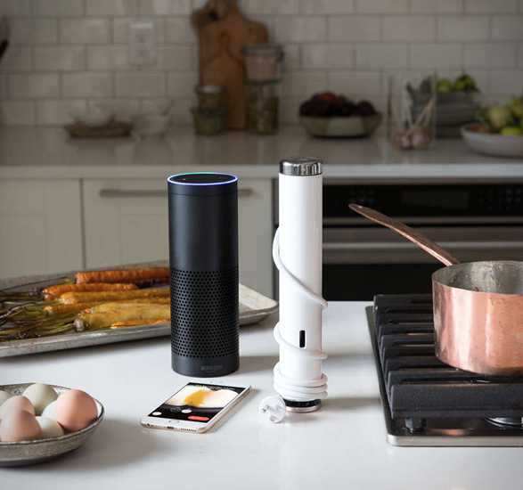 joule-sous-vide-2.jpg | Image