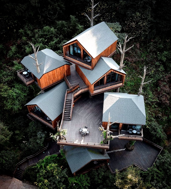 kaiyuan-senbo-tree-hotel-2.jpg | Image