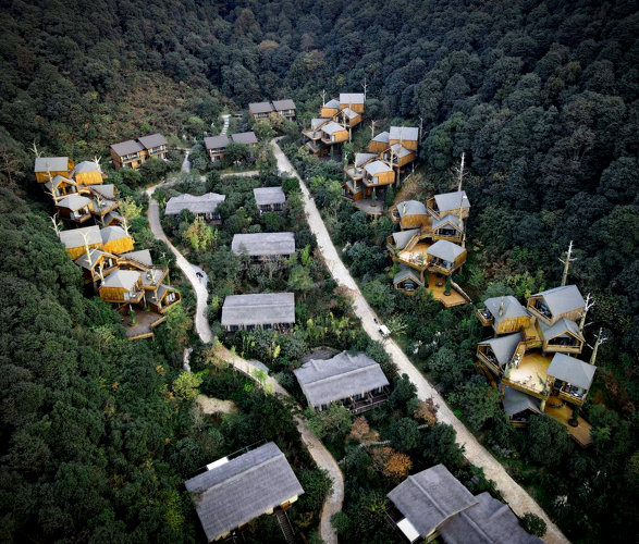 kaiyuan-senbo-tree-hotel-9.jpg