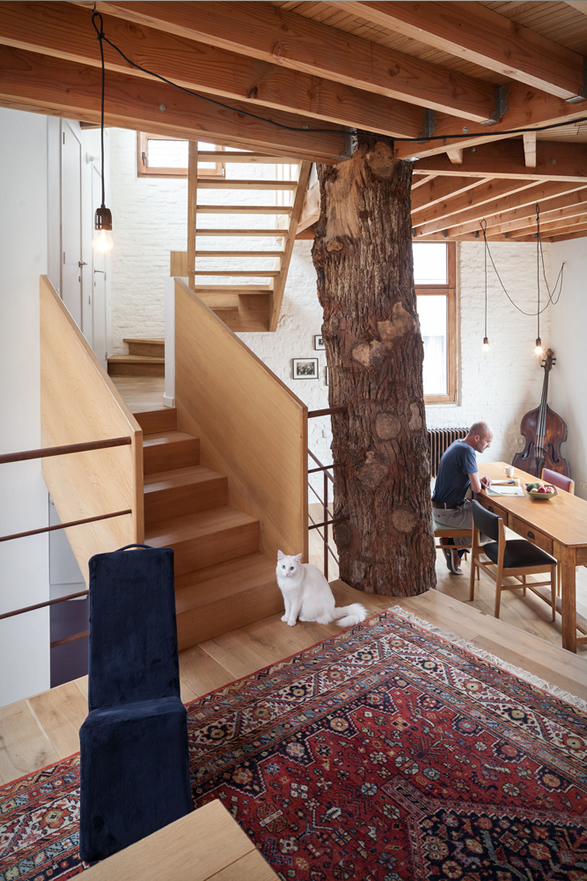 kartasan-house-8.jpg