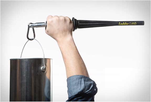 ladderlimb-4.jpg | Image