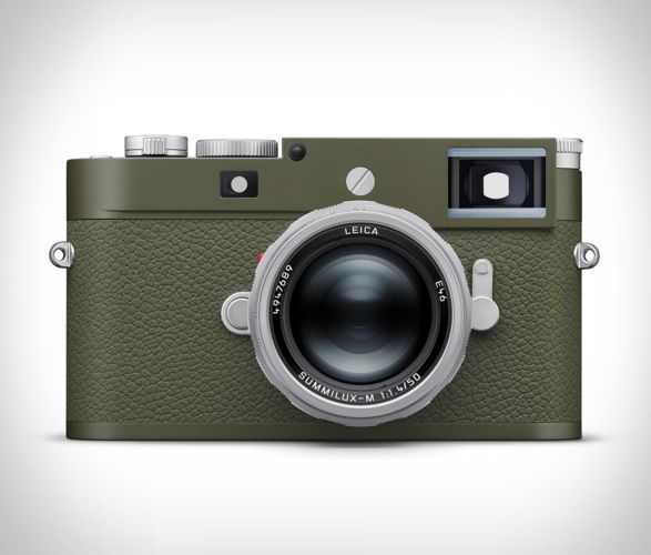 leica-m11-p-safari-5.jpg