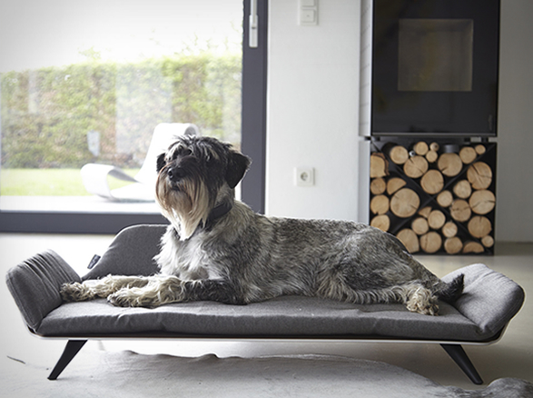 Letto daybed dog sales