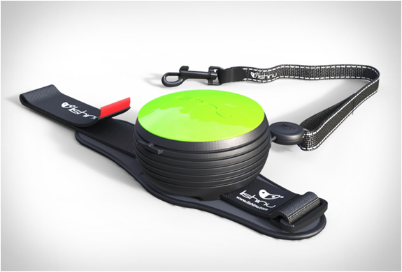lishinu-dog-leash-2.jpg | Image