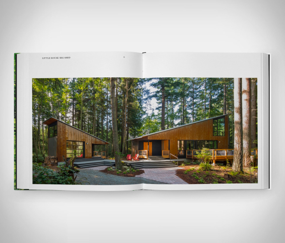 living-in-the-forest-3.jpg | Image