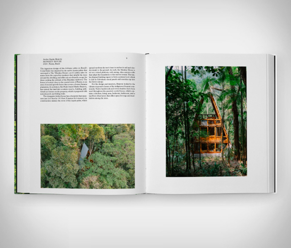 living-in-the-forest-4.jpg | Image