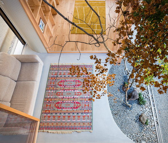 melt-house-5.jpg | Image