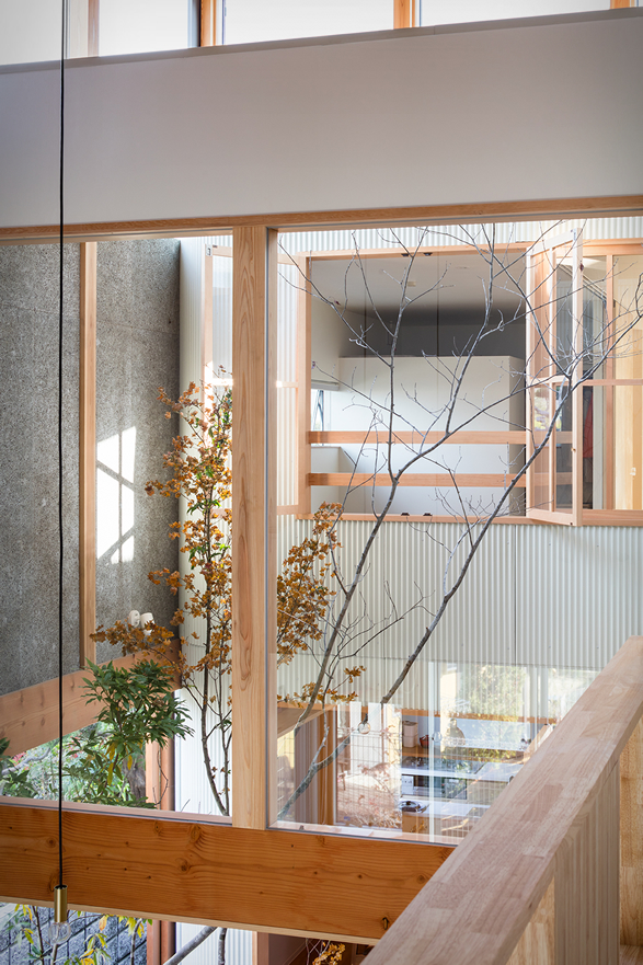 melt-house-8.jpg