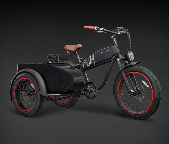 mod-sidecar-ebike-2.jpeg | Image