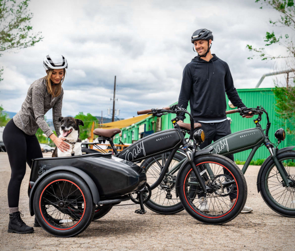 Mod Sidecar eBike