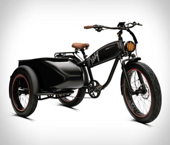 mod-sidecar-ebike-9.jpeg