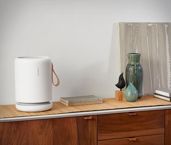 molekule-air-purifiers-6.jpg