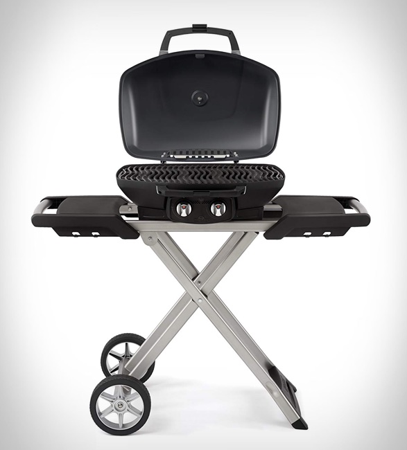 napoleon-travelq-grill-2.jpg | Image