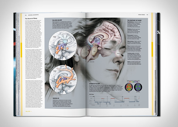 national-geographic-infographics-4.jpg | Image