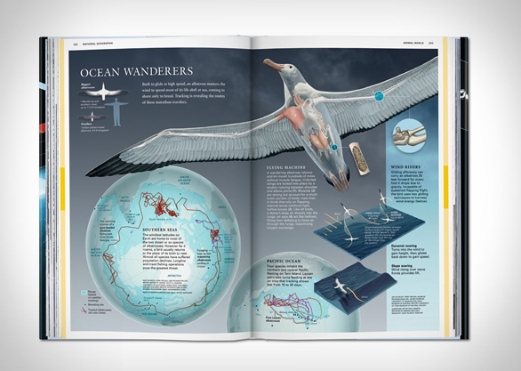national-geographic-infographics-6.jpg