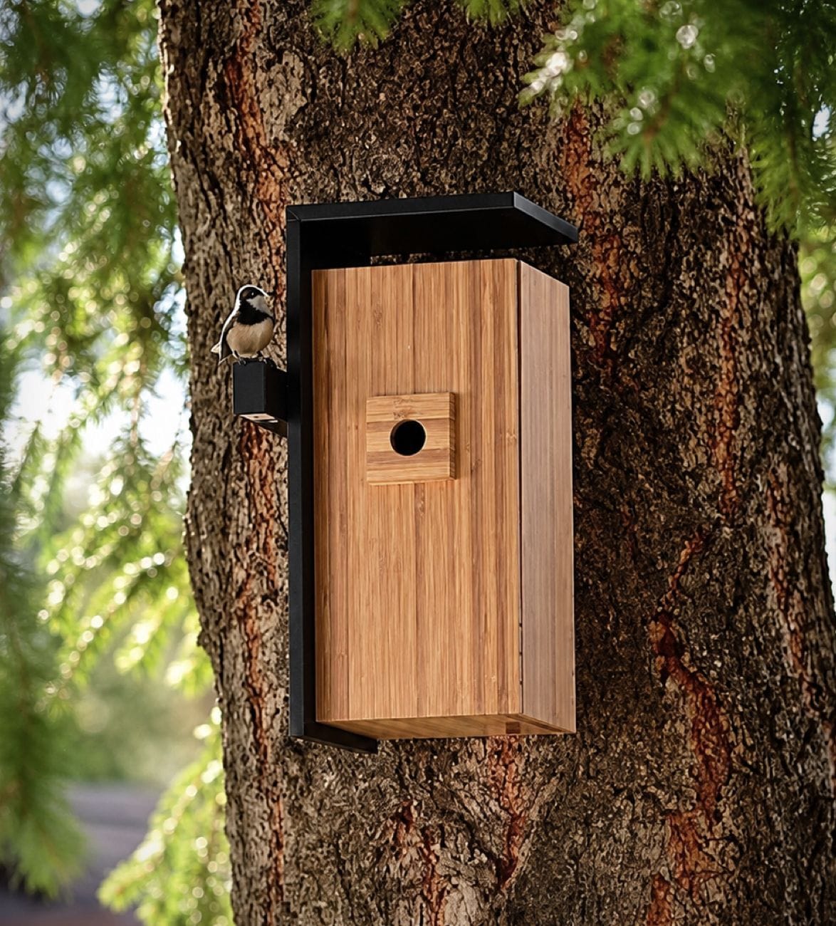 nest-duo-smart-bird-house-2.jpg | Image