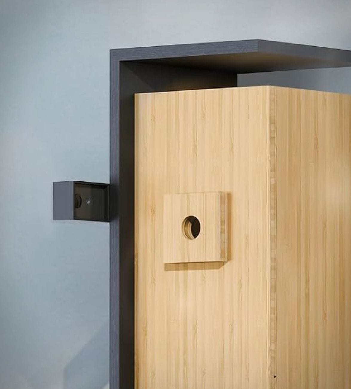 nest-duo-smart-bird-house-3.jpg | Image