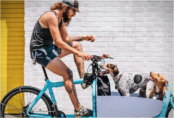 new-york-bike-style-3.jpg | Image