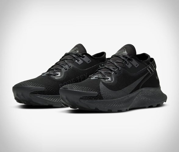 nike-pegasus-trail-2-gore-tex-7.jpg