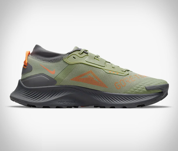 Nike Pegasus Trail 3 Gore-Tex
