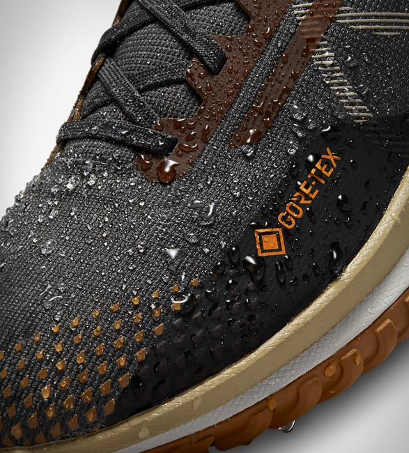 nike-pegasus-trail-4-gore-tex-4.jpg | Image