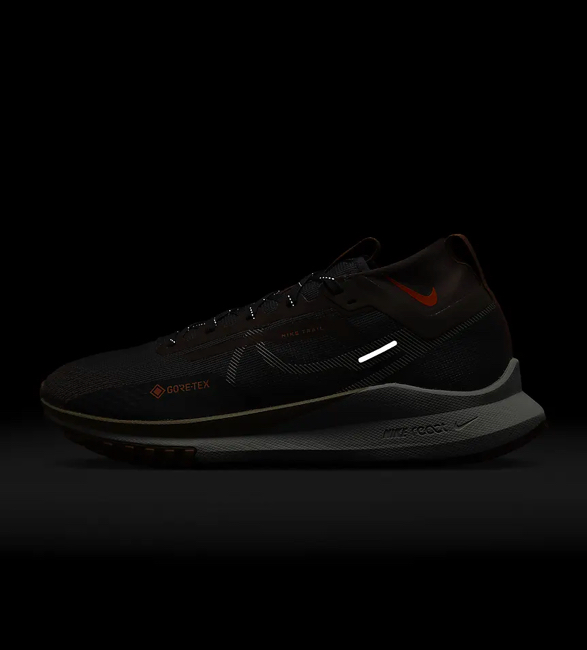 nike-pegasus-trail-4-gore-tex-5.jpg | Image