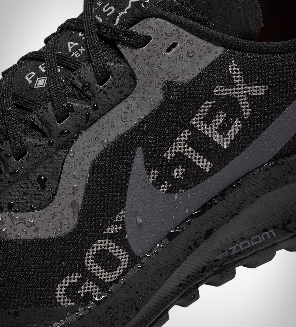 nike-zoom-pegasus-36-trail-gore-tex-6.jpg